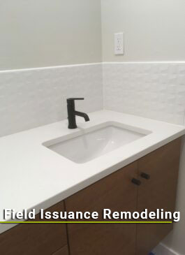 Field Issuance Remodeling